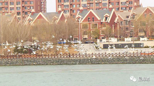 微信图片_20230315084233.png