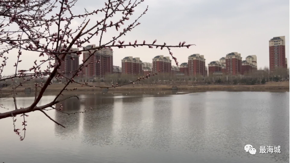 微信图片_20230328075410.png